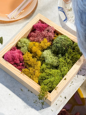 Moss Art: A Creative Workshop at Diana Kauffman Designs Calabash Monday June 22 |  10:00 am – 12:00 pm