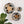 Boutique Diversiform Gray Woven Bowls: Medium | 12
